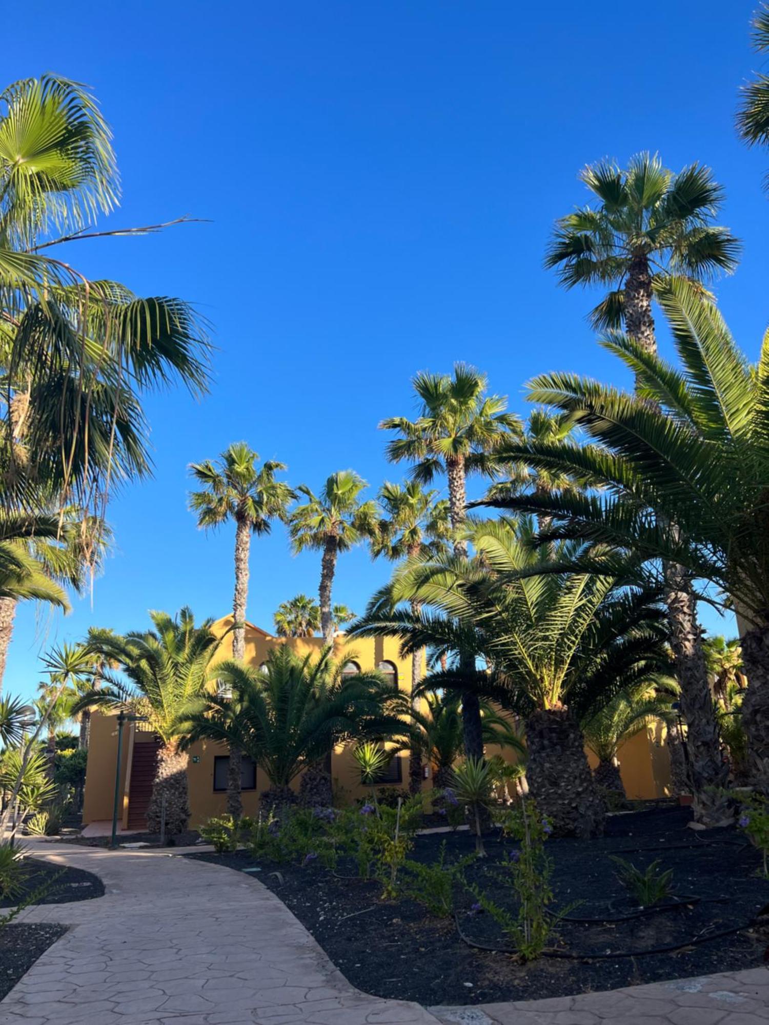 Casa De Leon Daire Corralejo Dış mekan fotoğraf