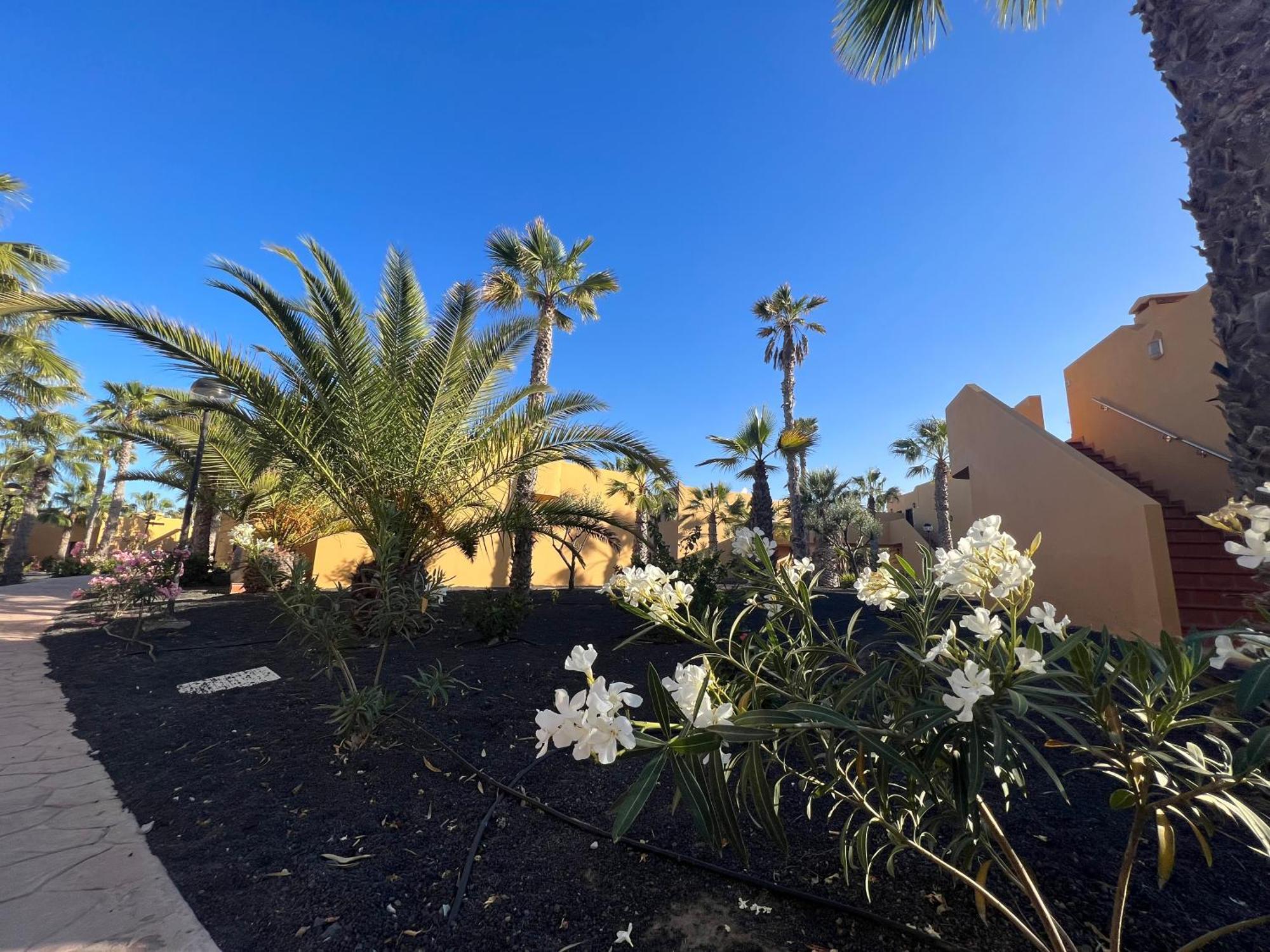 Casa De Leon Daire Corralejo Dış mekan fotoğraf