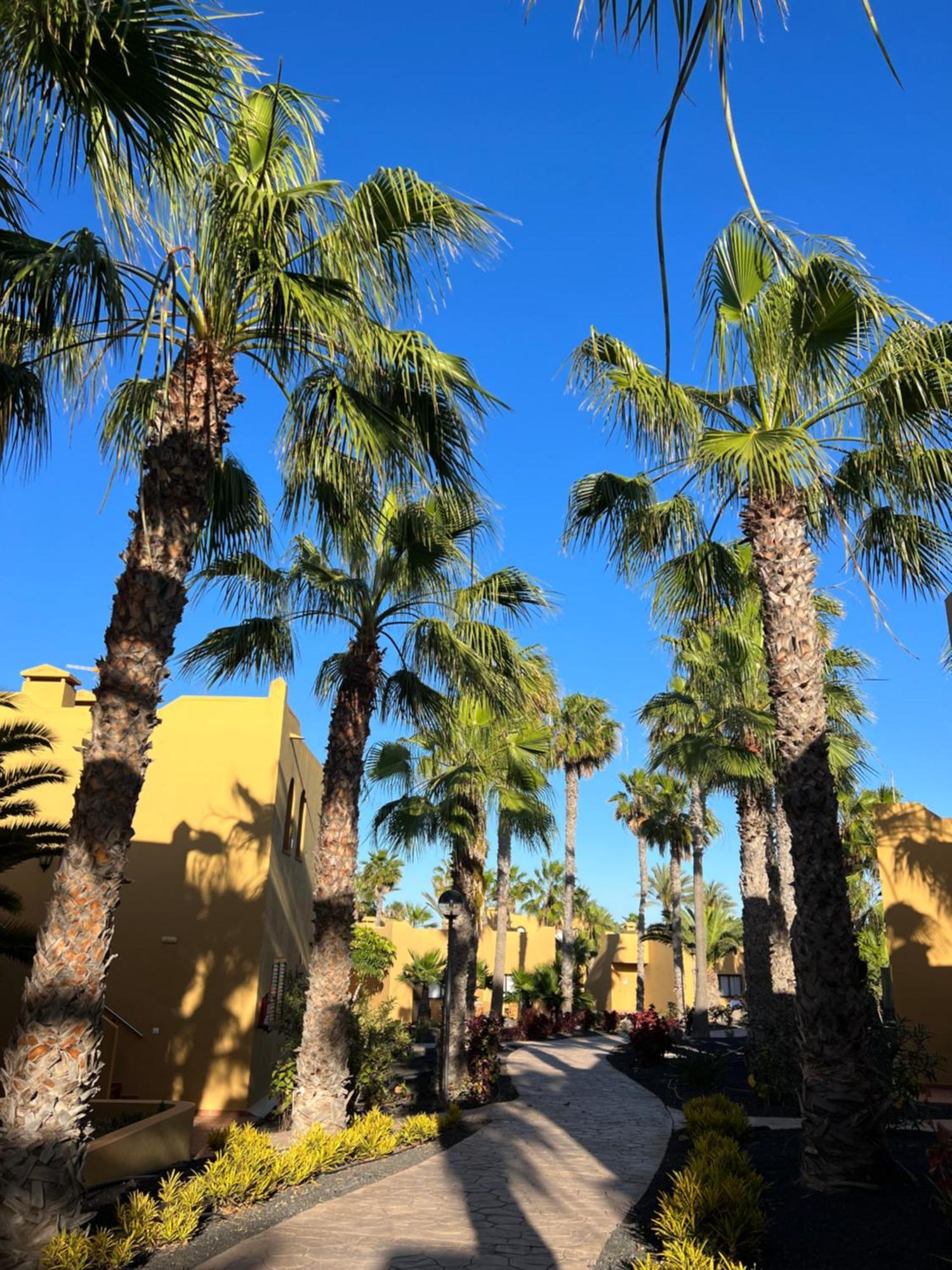Casa De Leon Daire Corralejo Dış mekan fotoğraf