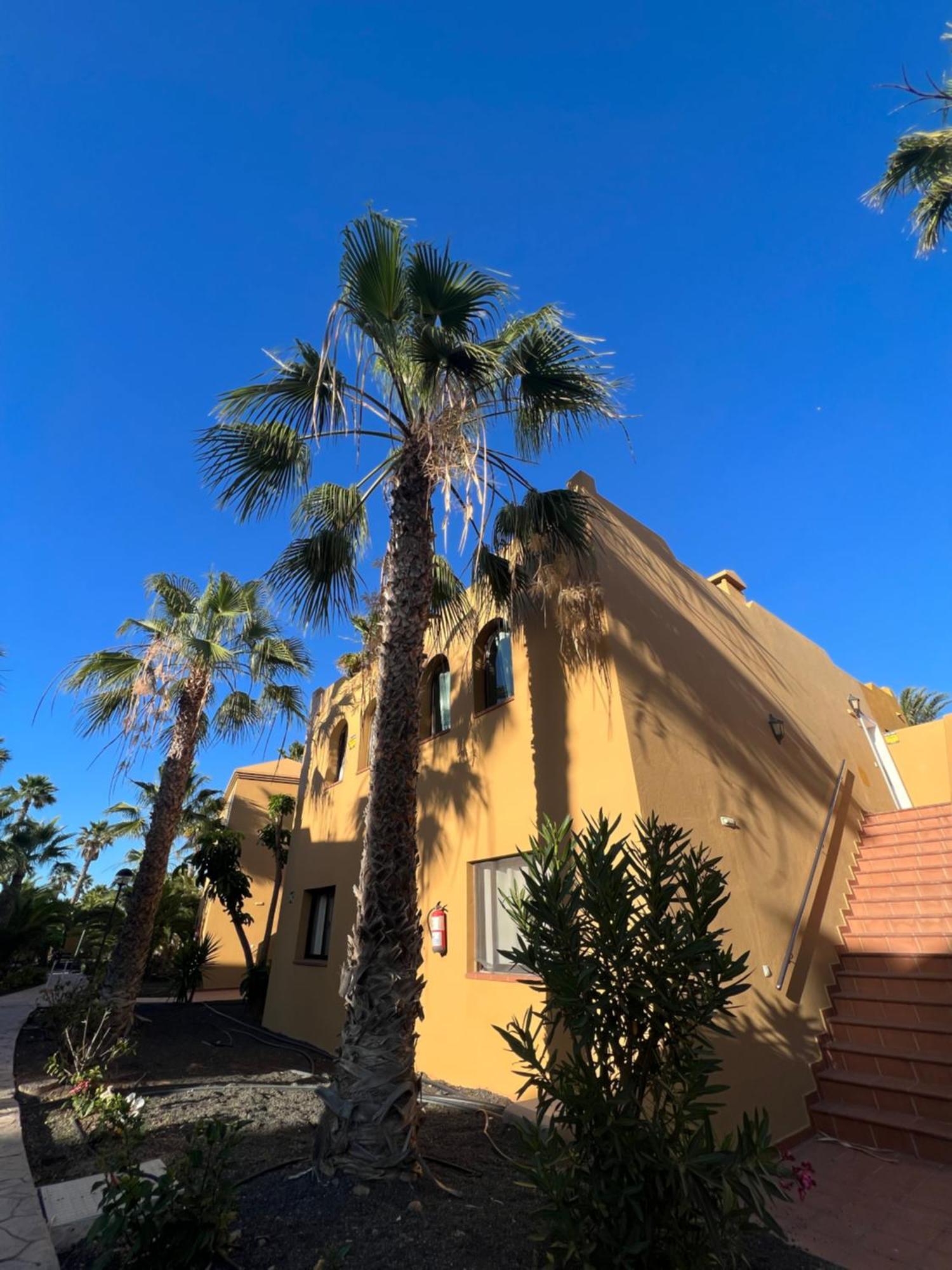 Casa De Leon Daire Corralejo Dış mekan fotoğraf